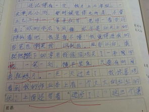 一次难忘的发现作文600字作文开头怎么写