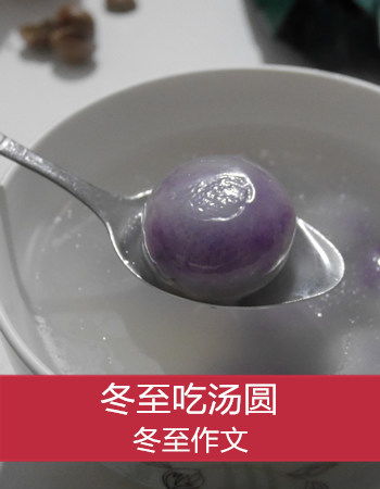 描写冬至节作文开头