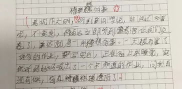听见作文的优秀开头