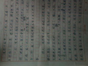 过精彩假期做美德少作文600字作文开头