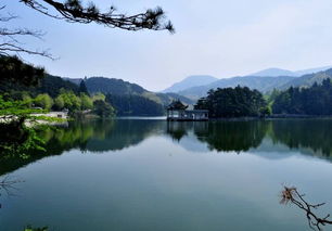 美丽神奇的如琴湖作文开头