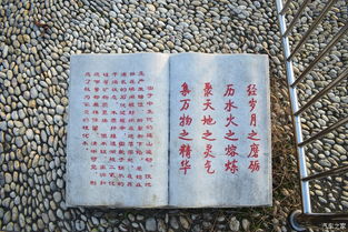 身边的风景也动人记叙文600字作文开头