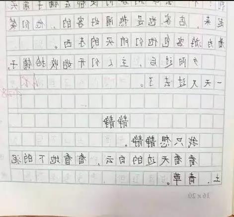 我的前桌作文400字女开头