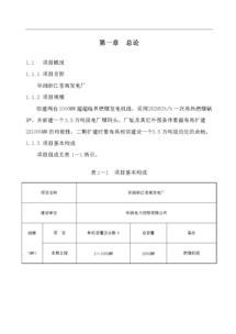 项目投资申请报告书()