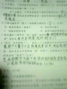你给我一扇窗作文开头