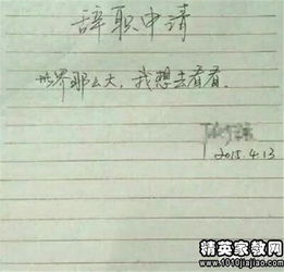 请辞职务报告如何写(请辞退职务申请)