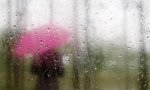 有关秋雨的作文开头