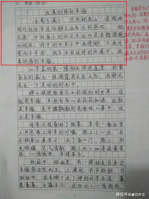 感受幸福作文的开头怎么写