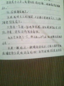 写趣事的作文开头怎么写