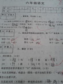 关于期中考试反思作文的开头