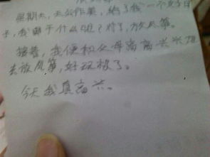 特殊的朗诵会作文开头