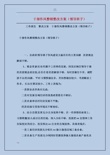 班子整改落实情况报告范文(领导班子整改落实情况报告)