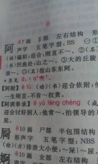 讽刺阿谀奉承的作文开头