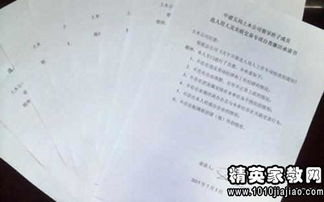 税务自查报告范文(税务自查报告怎么写)