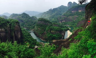 武夷山之旅作文开头