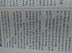 人要懂得感恩议论文1000字作文开头