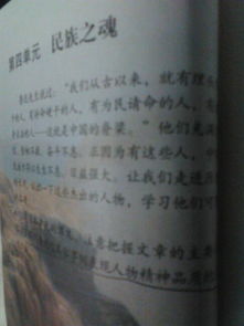 关于人物的品质的作文(形容人物的品质的成语)