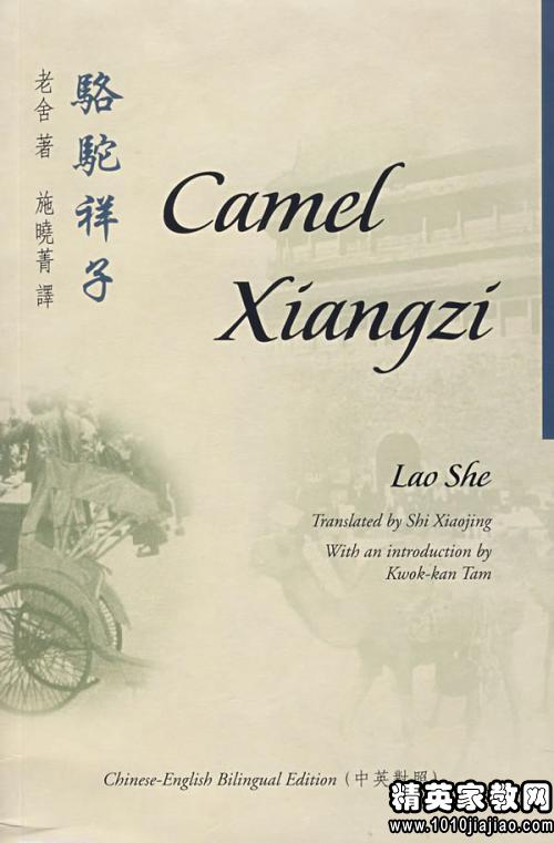 骆驼祥子读后感作文优秀开头