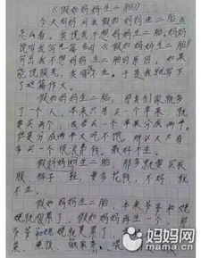 作文生二胎开头怎么写