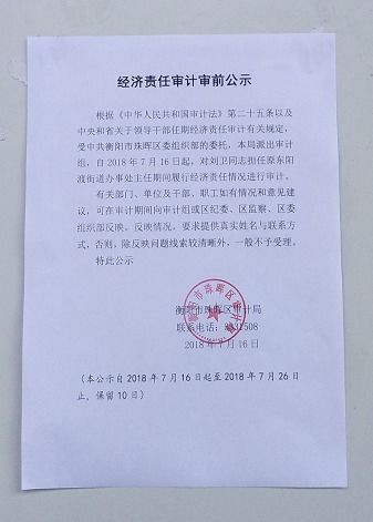 任期经济责任审计的审前公告范文(经济责任审计的审前调查)