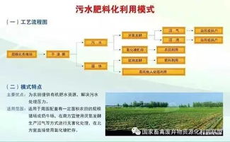 畜禽粪污资源化利用工作总结(畜禽粪污资源化利用工作总结)