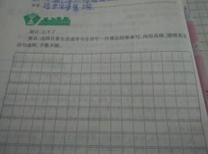 不普通的微笑作文的开头