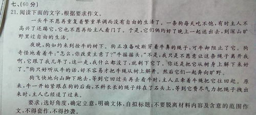 历史值得铭记作文600字作文开头