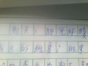 那一天阳光好温暖作文500字作文开头