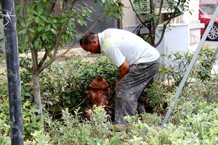 供水公司管网工作总结(供水管网改造研究)