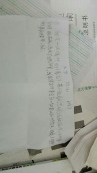 用诗句开头的作文300字