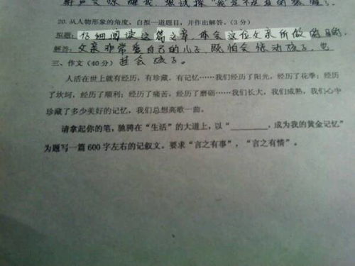 初一我不在任性作文600字作文开头