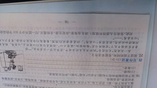 朋友为主题作文的开头