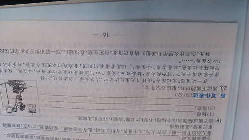 关于第一次为主题的作文开头800字