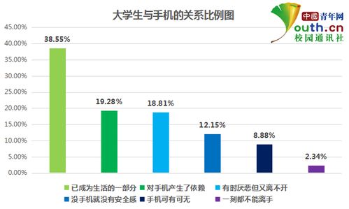 大学生上课时间玩手机情况调查报告(大学生手机使用情况调查报告)