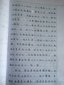 照片里的故事作文开头初一