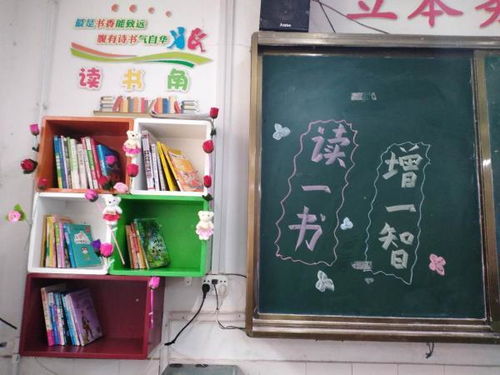 小学图书角阅读方案(图书角小学作文)