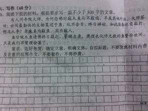 好作文好开头带题目