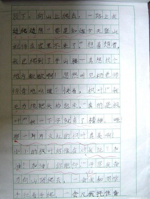 那一天我们去爬山作文500字作文开头