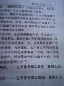 这次我没有错过秋天作文开头