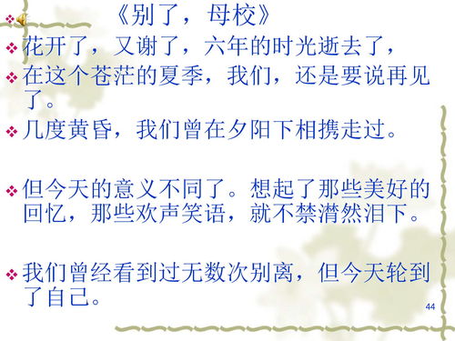 忘不了你母校作文开头