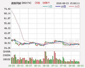 总经理秘书辞职报告(总经理秘书辞职报告)