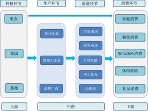 苹果醋市场调研报告(市场的调研报告)