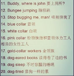 超酷的美国俚语作文(美国俚语的起源和功能论文)