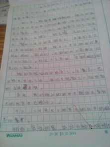 小学六级写难忘的人作文500字作文开头