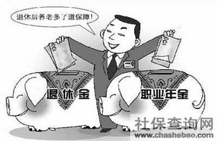 补充养老保险(补充养老保险)