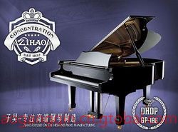 关于刚开始练钢琴作文开头