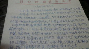 写关于爱的作文范文(写关于爱的作文)
