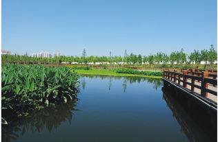 河道治理方案参考(城市河道生态治理综述)