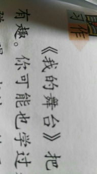 这里是我的舞台作文开头