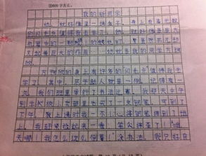 我的什么同学600字作文开头